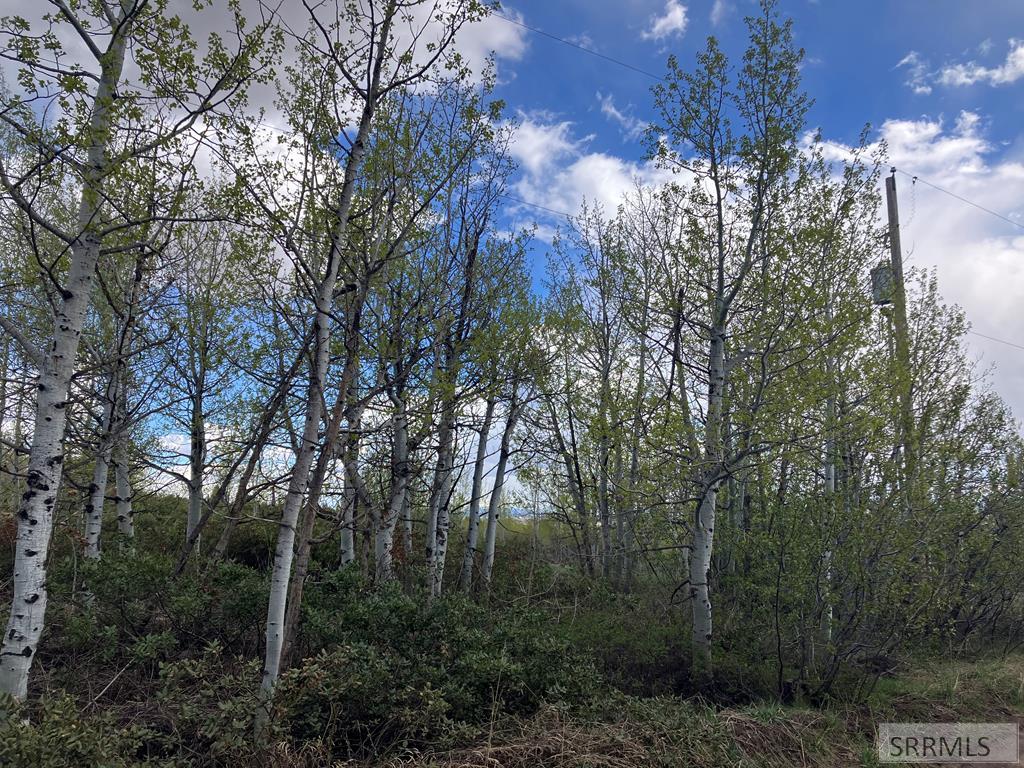 TBD Aspen Heights Drive, ASHTON, Idaho image 21