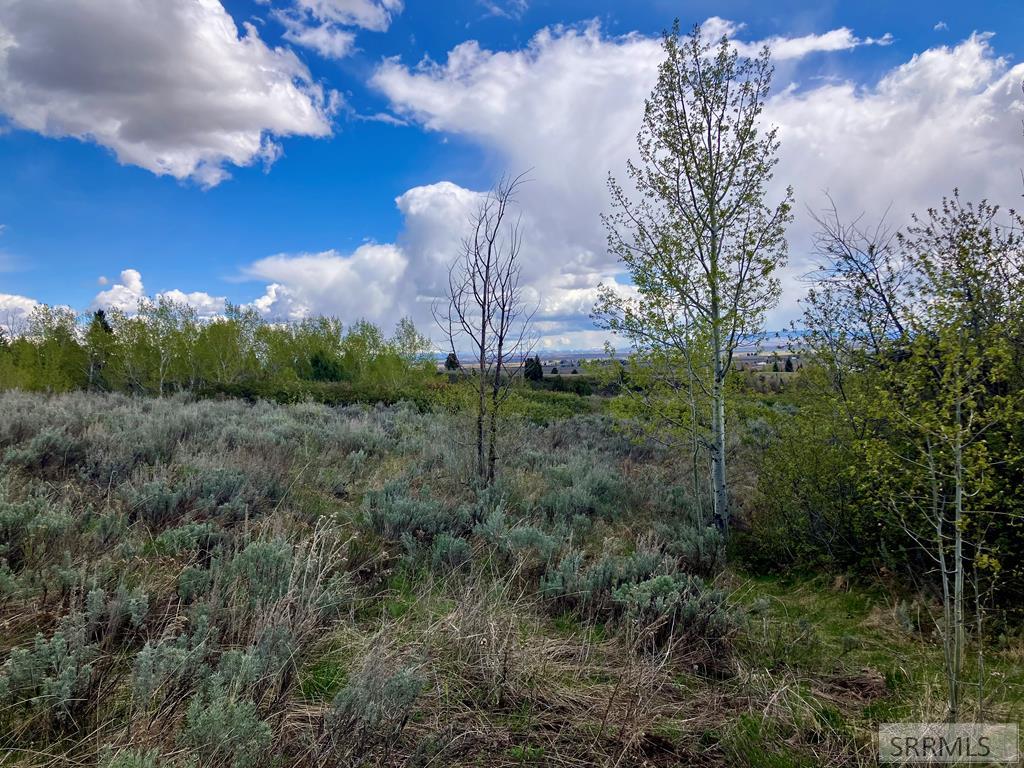 TBD Aspen Heights Drive, ASHTON, Idaho image 32