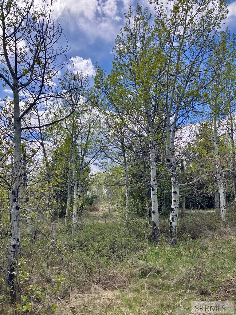 TBD Aspen Heights Drive, ASHTON, Idaho image 36