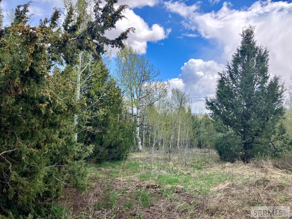 TBD Aspen Heights Drive, ASHTON, Idaho image 26