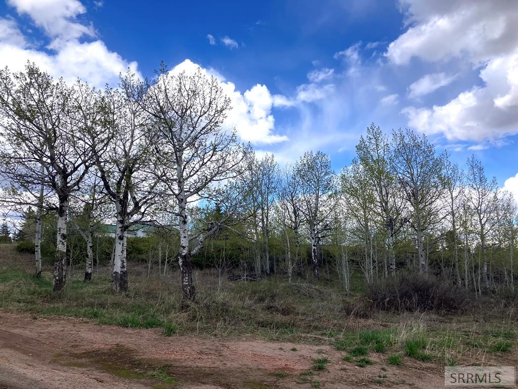 TBD Aspen Heights Drive, ASHTON, Idaho image 24