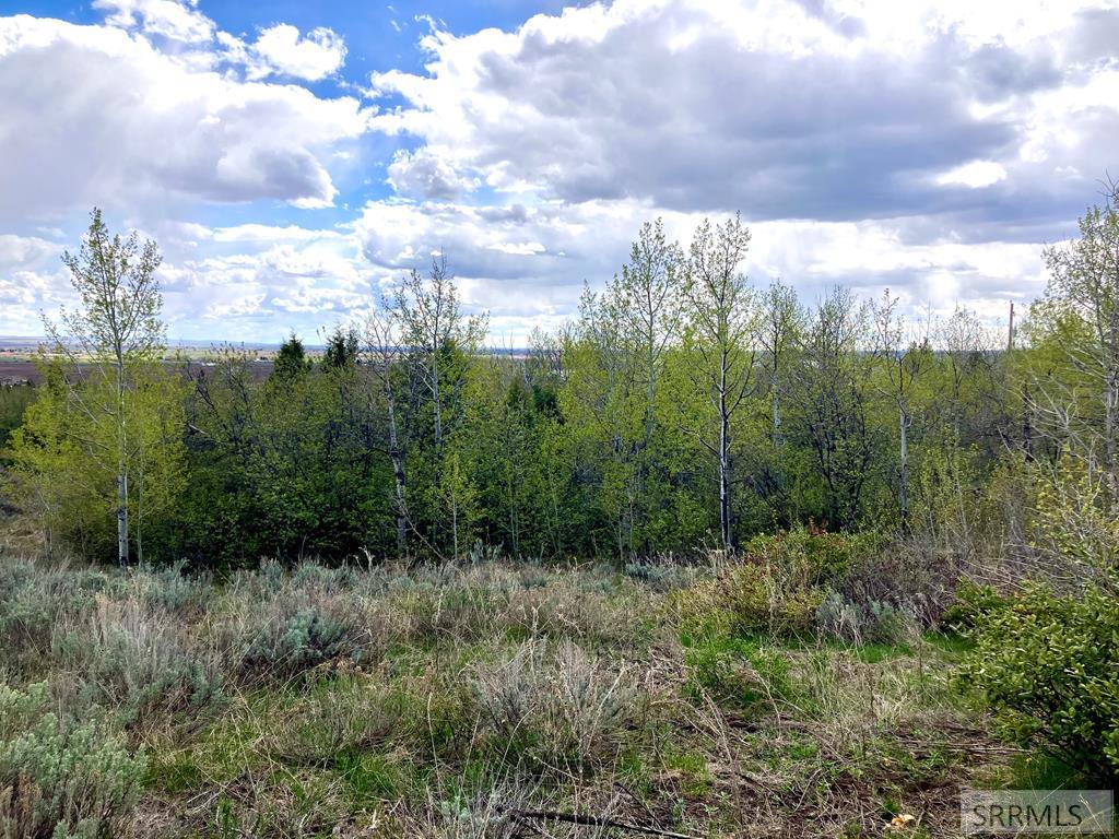 TBD Aspen Heights Drive, ASHTON, Idaho image 34