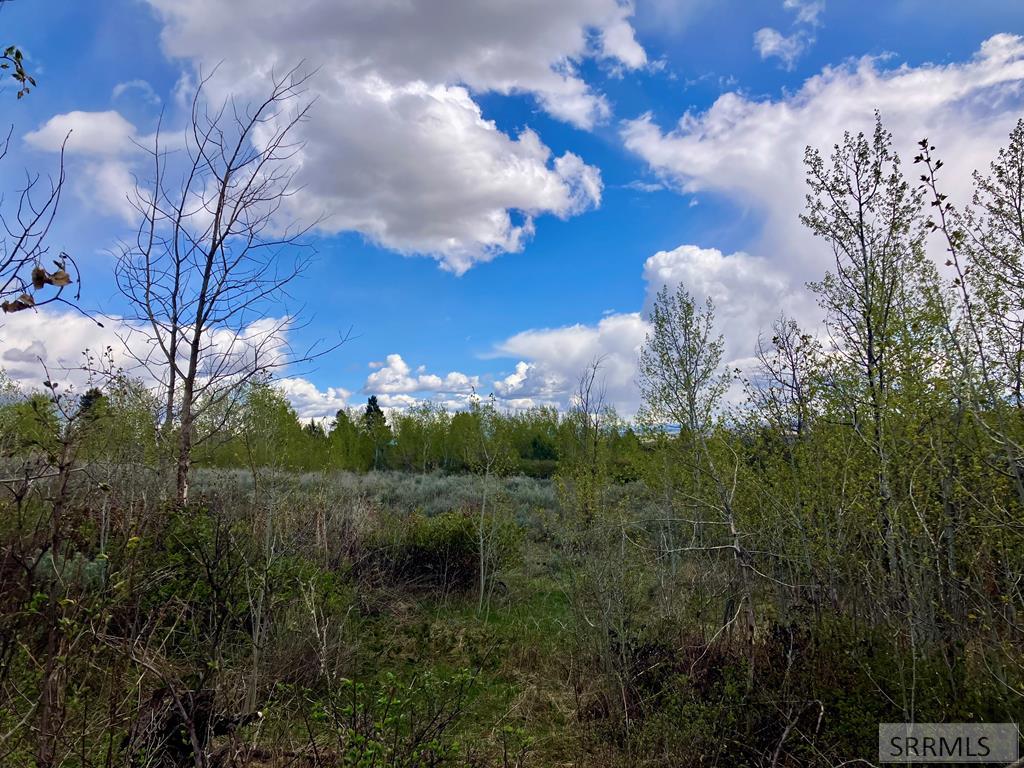 TBD Aspen Heights Drive, ASHTON, Idaho image 30