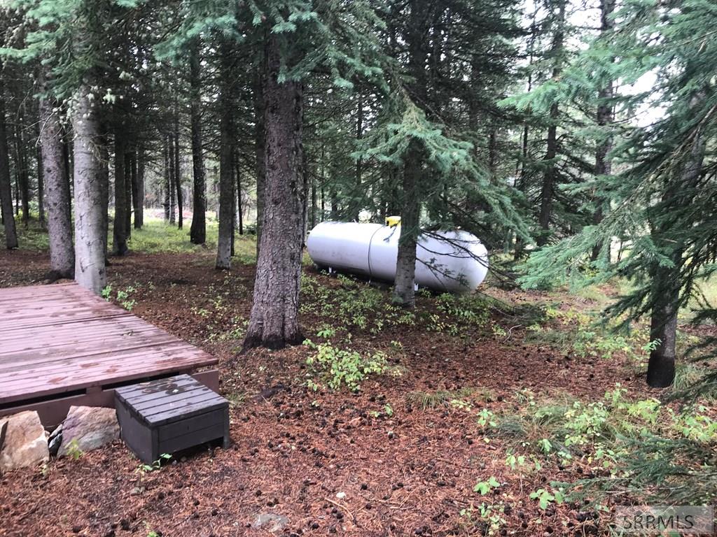 4205 Holden Loop Road, ISLAND PARK, Idaho image 33