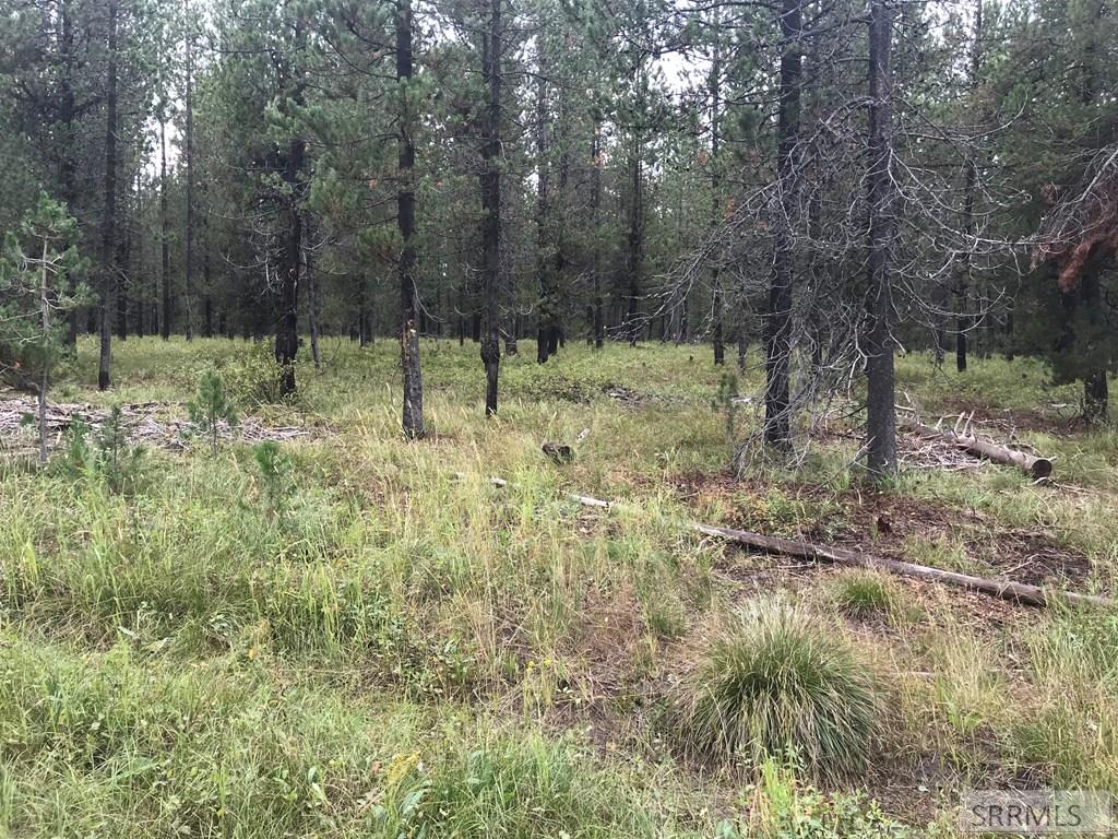 4205 Holden Loop Road, ISLAND PARK, Idaho image 28