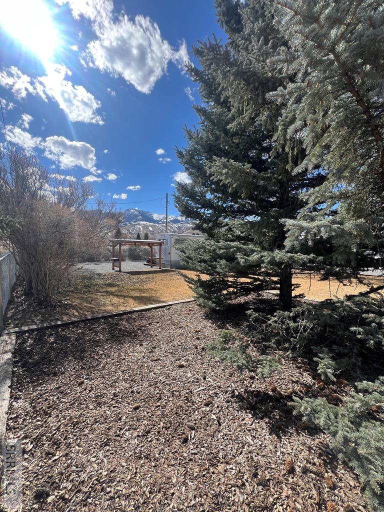 707 Forest Drive, MACKAY, Idaho image 9