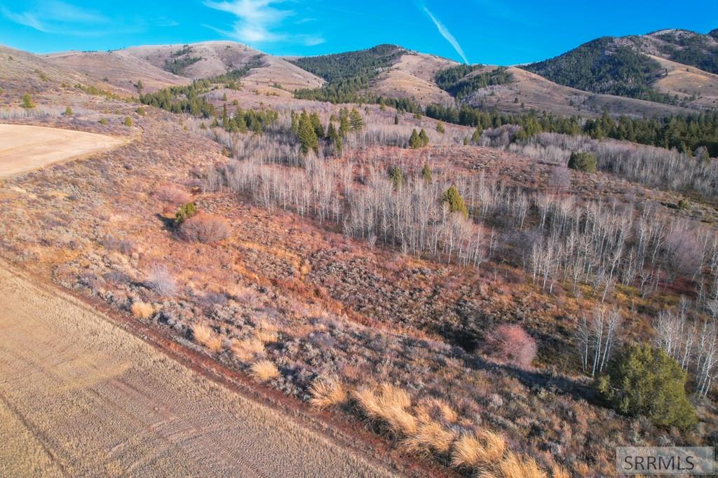 Tbd Jackson Creek Road, INKOM, Idaho image 11