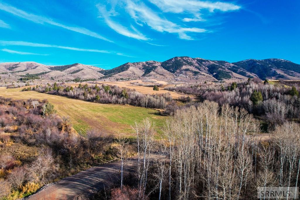 Tbd Jackson Creek Road, INKOM, Idaho image 21