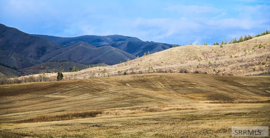 Tbd Jackson Creek Road, INKOM, Idaho image 24