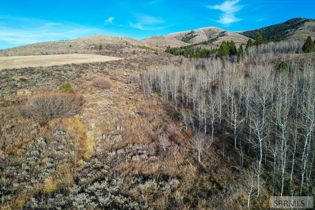 Tbd Jackson Creek Road, INKOM, Idaho image 9