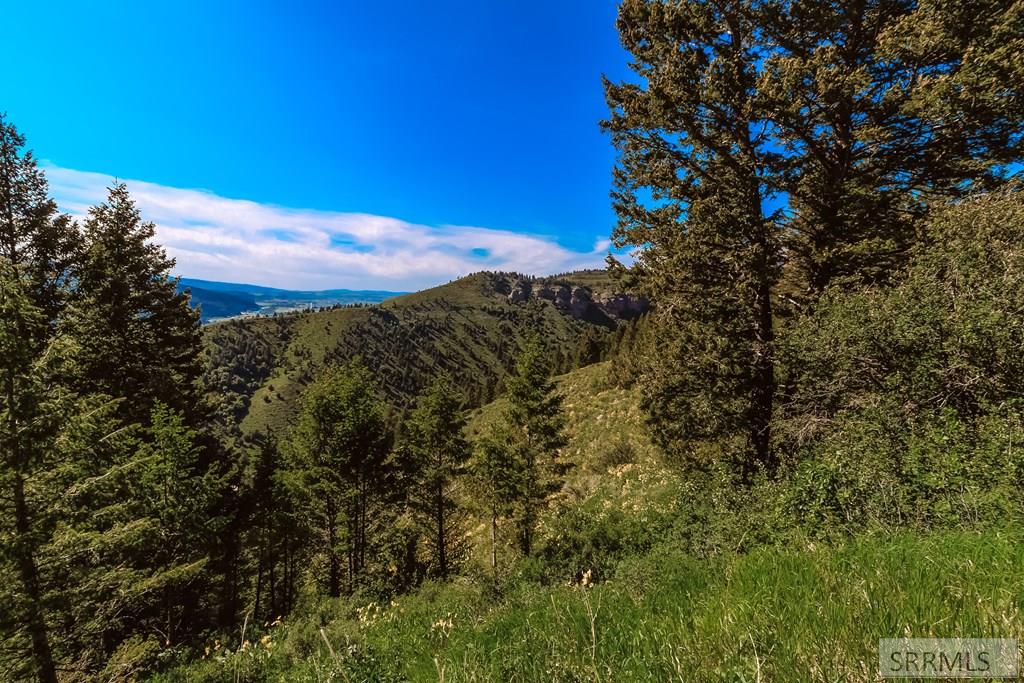 227 Fourth Side Road, IRWIN, Idaho image 27