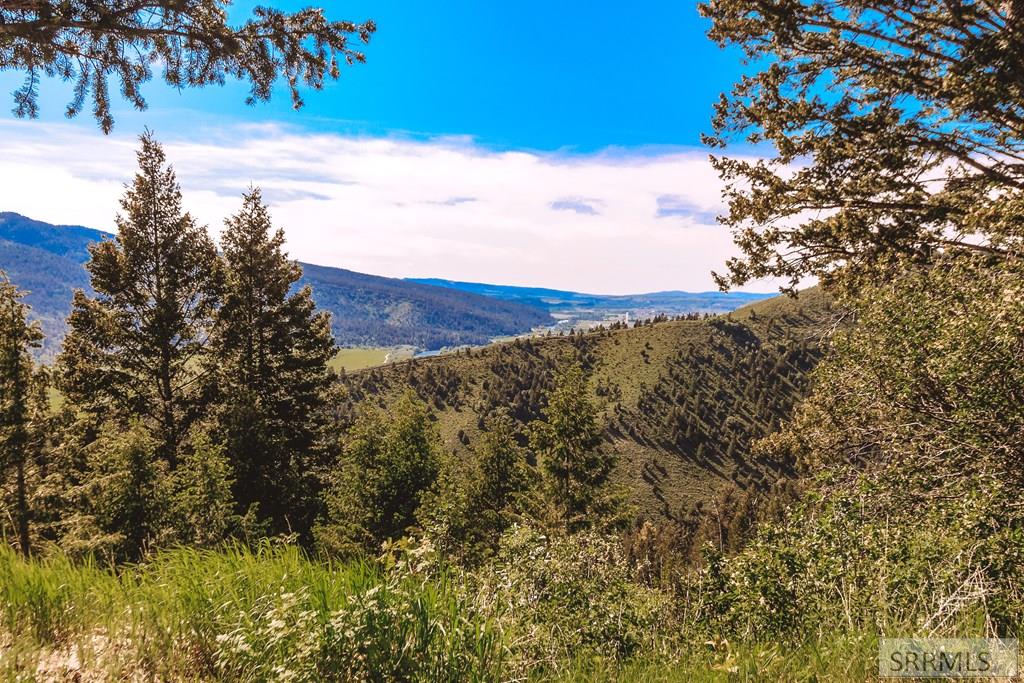 227 Fourth Side Road, IRWIN, Idaho image 25
