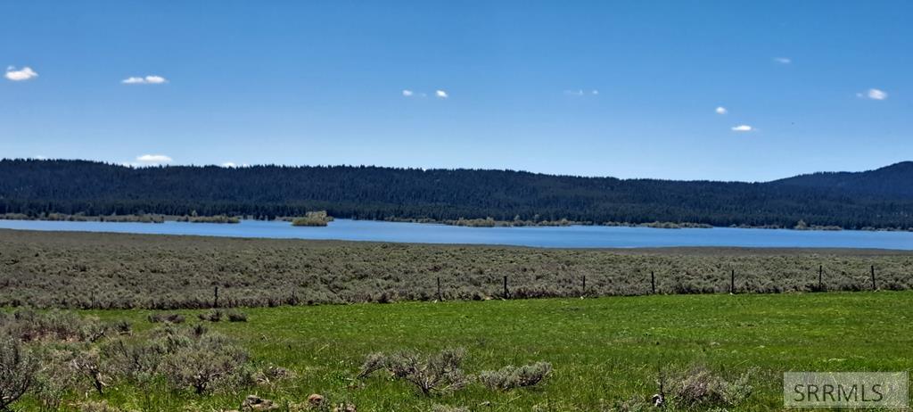 3380 Eagles View Road, ISLAND PARK, Idaho image 1