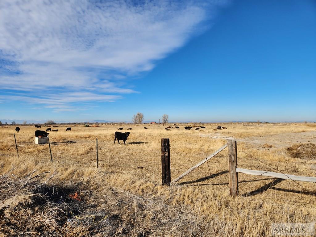 2768 E 700 N, ROBERTS, Idaho image 48