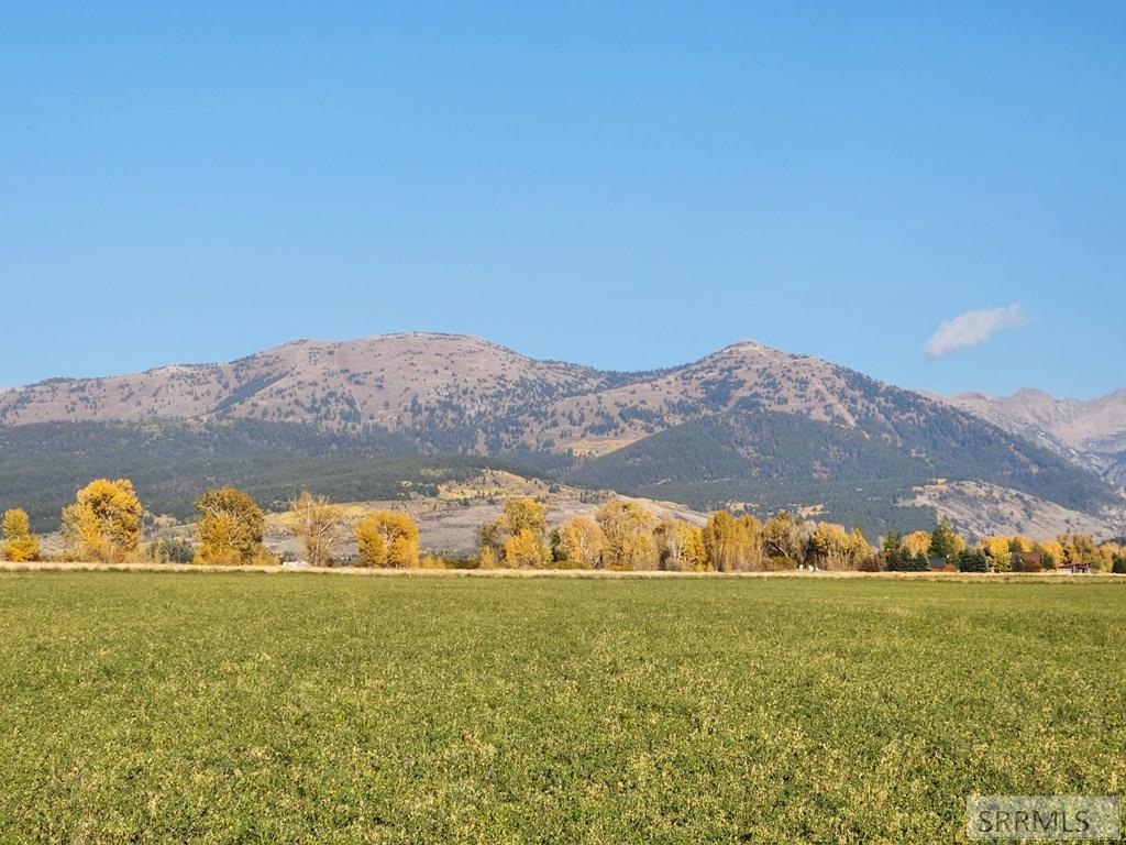 1739 Wildflower Way, DRIGGS, Idaho image 6