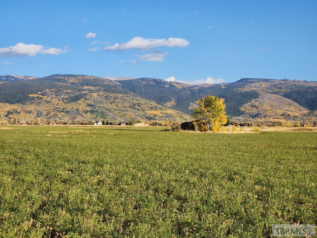 1739 Wildflower Way, DRIGGS, Idaho image 5