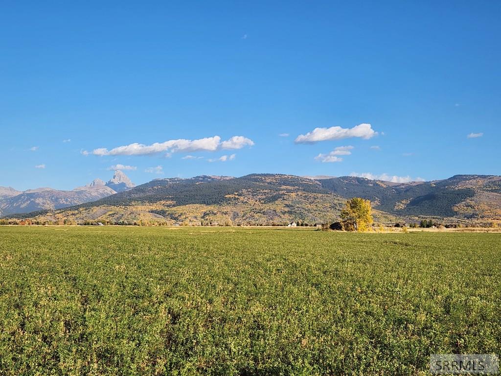 1739 Wildflower Way, DRIGGS, Idaho image 4