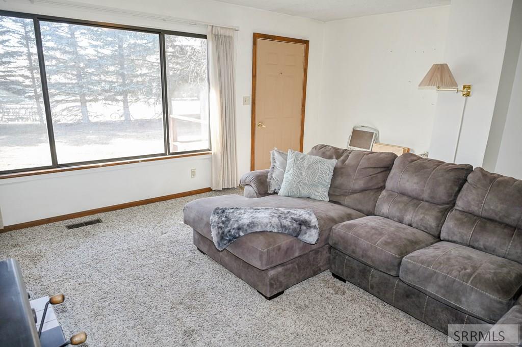 4527 Bar Road, MACKAY, Idaho image 30