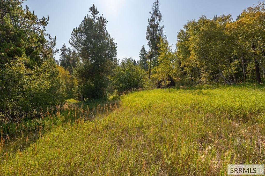 Lot 4 Potpourri Drive, ASHTON, Idaho image 4