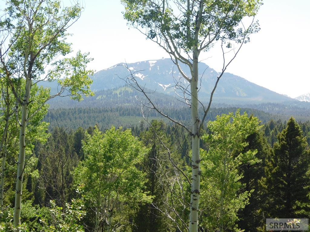 4907 Shadow Wood Ln, ISLAND PARK, Idaho image 1