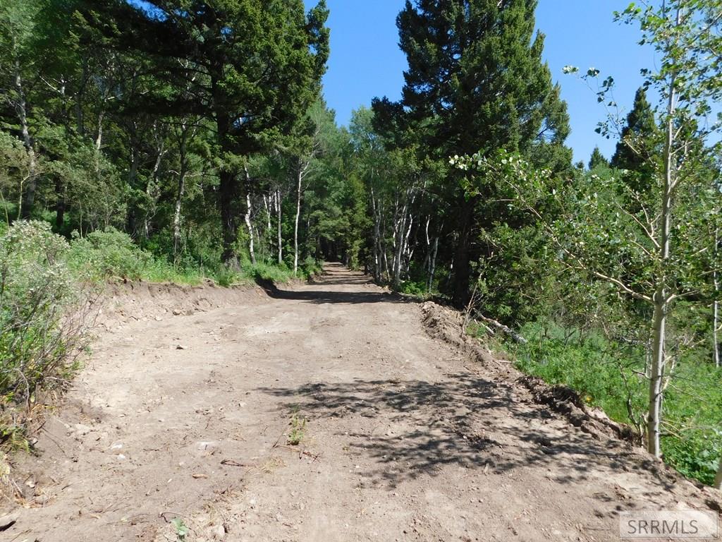 4907 Shadow Wood Ln, ISLAND PARK, Idaho image 7