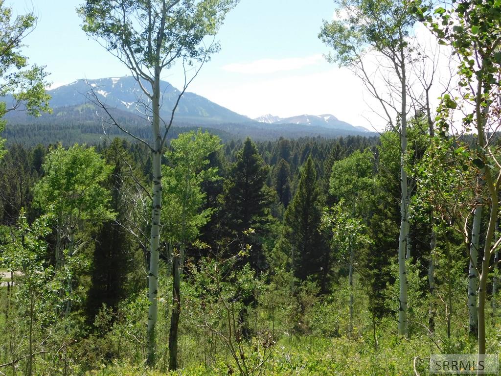 4907 Shadow Wood Ln, ISLAND PARK, Idaho image 5