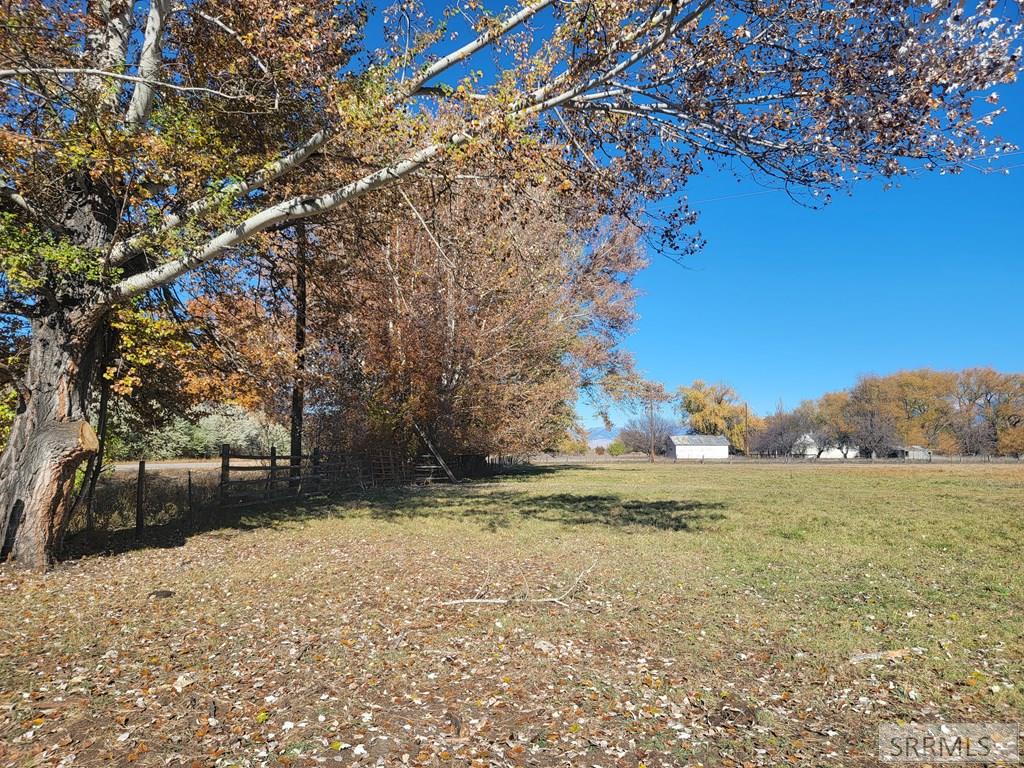 Lot 1 Golden Leaf Lane, SALMON, Idaho image 7