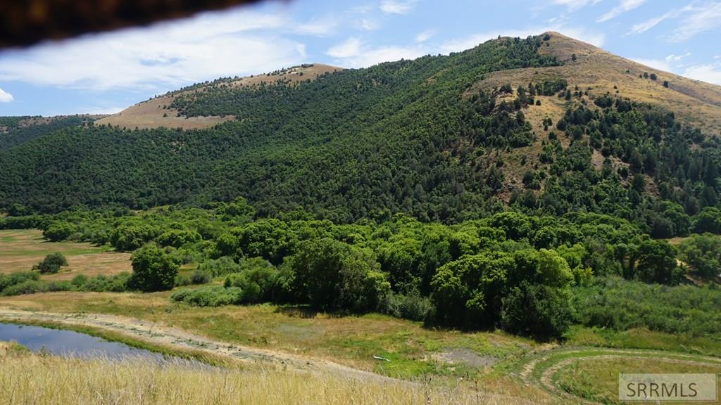 3436 Cub River Road, PRESTON, Idaho image 7