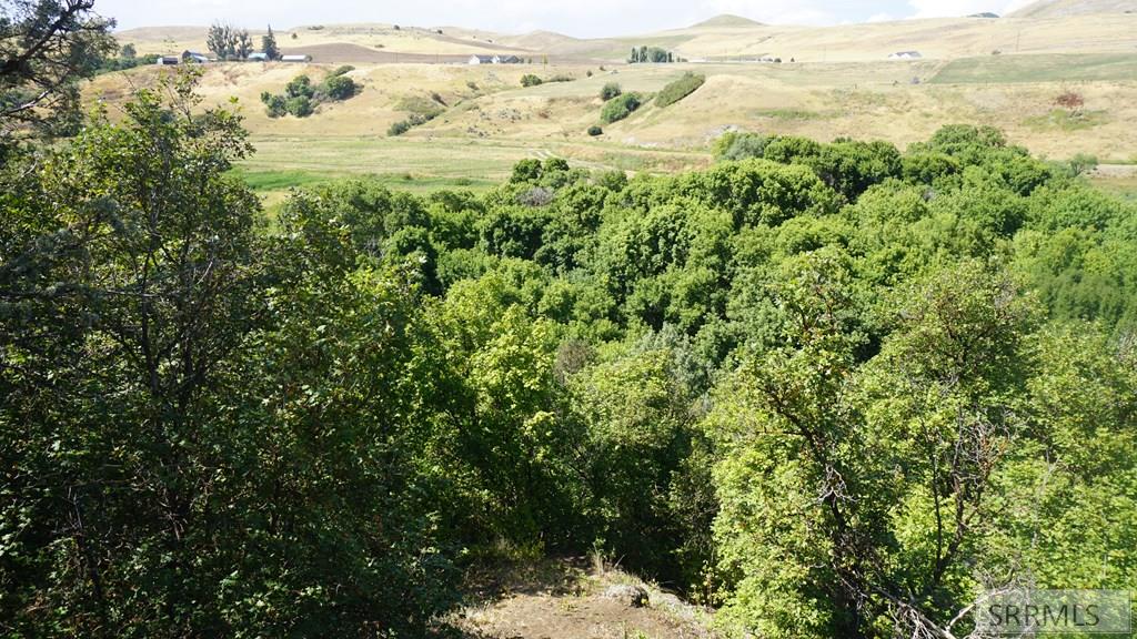 3436 Cub River Road, PRESTON, Idaho image 14