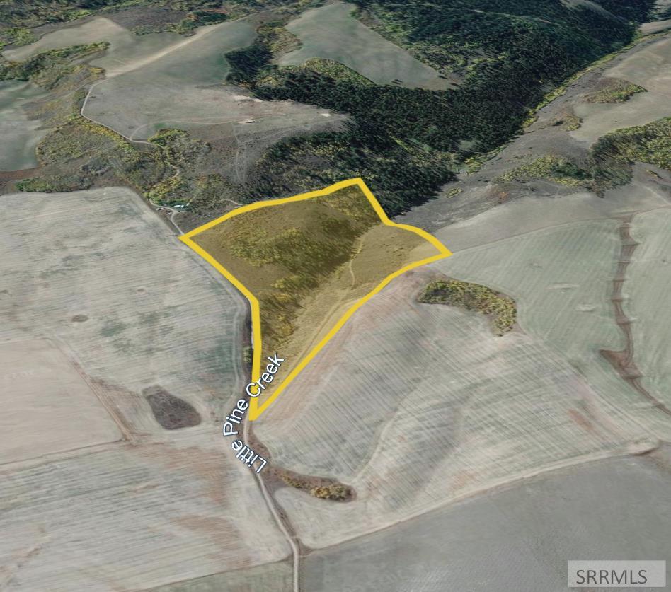 60.8 AC Swan Valley Hwy, RIRIE, Idaho image 1