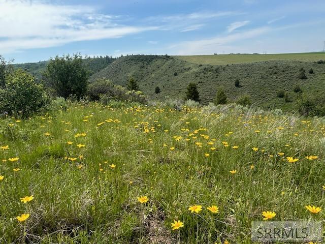 60.8 AC Swan Valley Hwy, RIRIE, Idaho image 40