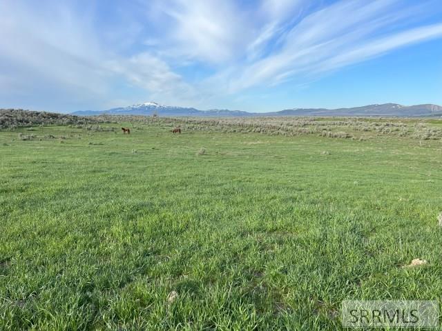 Lot A Jensen Road, MCCAMMON, Idaho image 10