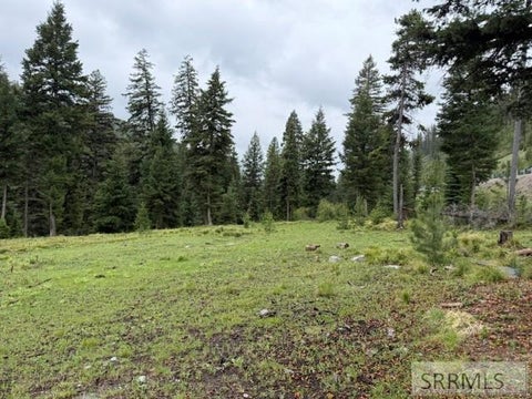 Vacant Land For Sale - 1B Kokopelli Drive<br/> Lemhi County, GIBBONSVILLE, ID 83463