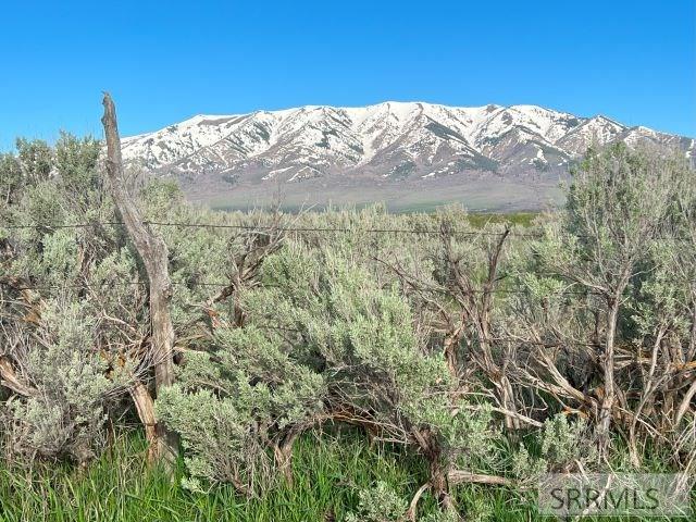 Lot B Jensen Road, MCCAMMON, Idaho image 12