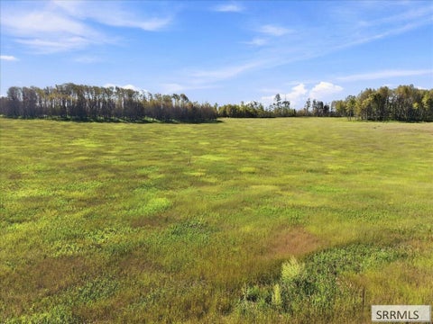 Photo of 1614 Renegade Fly Drive, ASHTON, ID 83420 (MLS # 2189760)