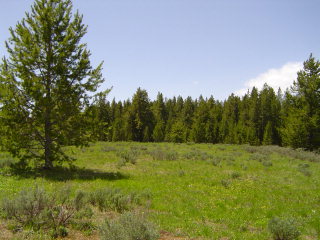 3941 Cowan Road, ISLAND PARK, Idaho image 2
