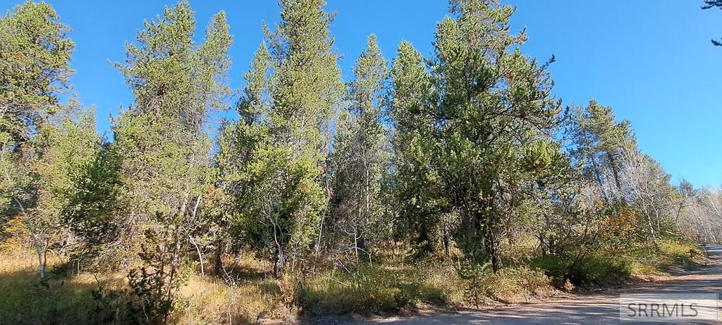 4345 Ridge Crest, ASHTON, Idaho image 11