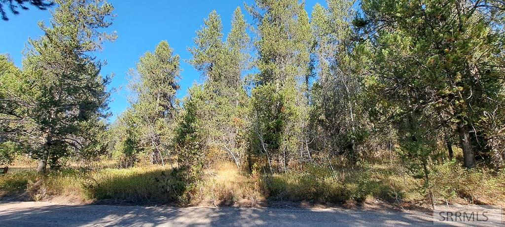 4345 Ridge Crest, ASHTON, Idaho image 9