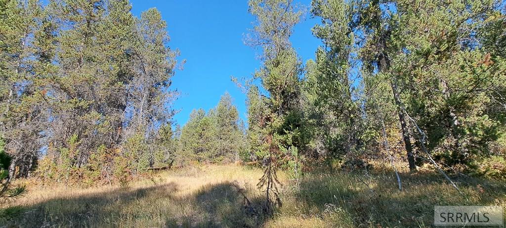 4345 Ridge Crest, ASHTON, Idaho image 13