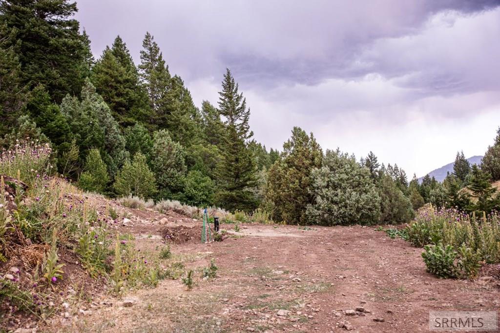 TBD Baldy Mountain Road, LAVA HOT SPRINGS, Idaho image 7