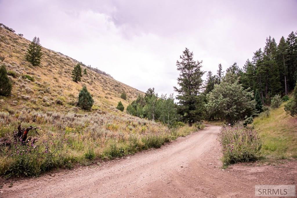 TBD Baldy Mountain Road, LAVA HOT SPRINGS, Idaho image 4