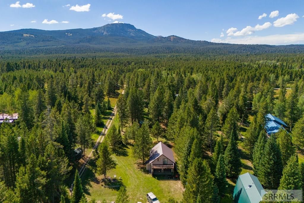4008 Woodchuck St, ISLAND PARK, Idaho image 19