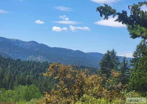 Vacant Land For Sale - LOT24B3 Cutthroat Run<br/> IRWIN, ID 83428