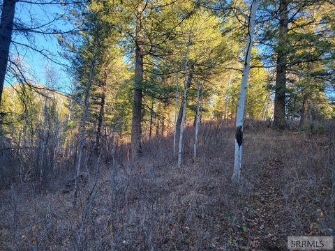 Photo of L13B2 Cutthroat Run, IRWIN, ID 83428 (MLS # 2180857)