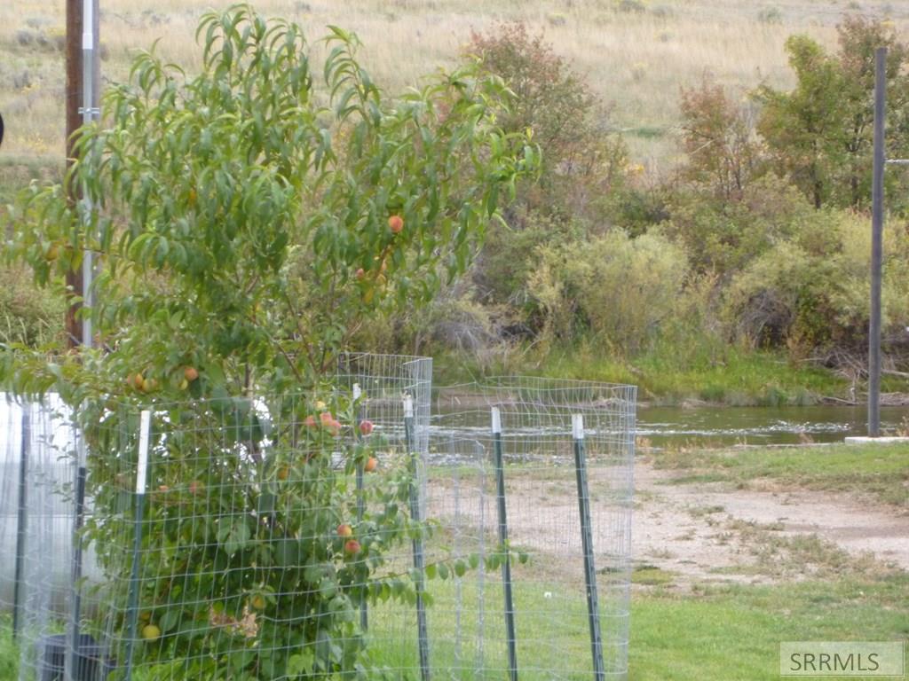 TBD Agate Drive, SALMON, Idaho image 3