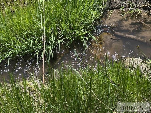 60.8 Acr Swan Valley Hwy, RIRIE, Idaho image 32