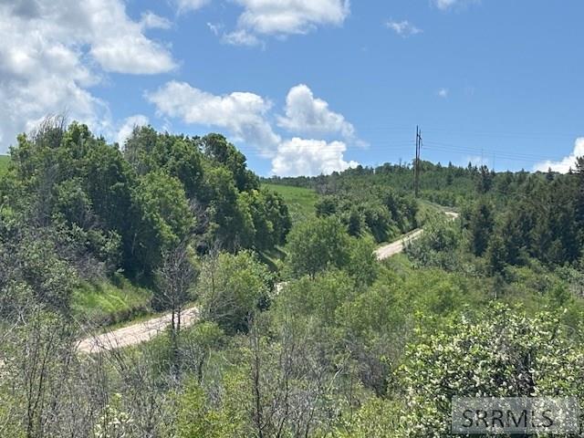 60.8 Acr Swan Valley Hwy, RIRIE, Idaho image 41