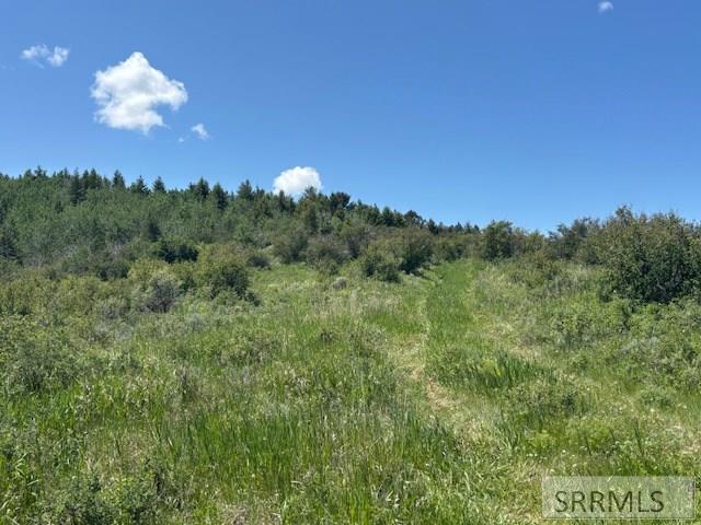 60.8 Acr Swan Valley Hwy, RIRIE, Idaho image 12
