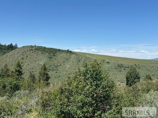 60.8 Acr Swan Valley Hwy, RIRIE, Idaho image 20
