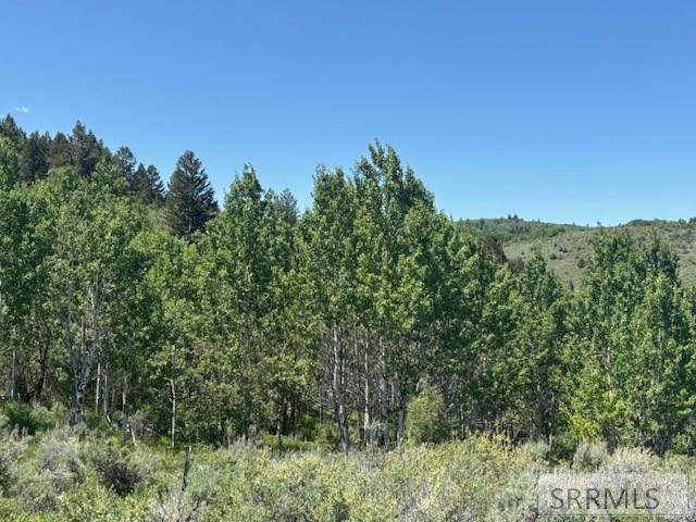 60.8 Acr Swan Valley Hwy, RIRIE, Idaho image 21